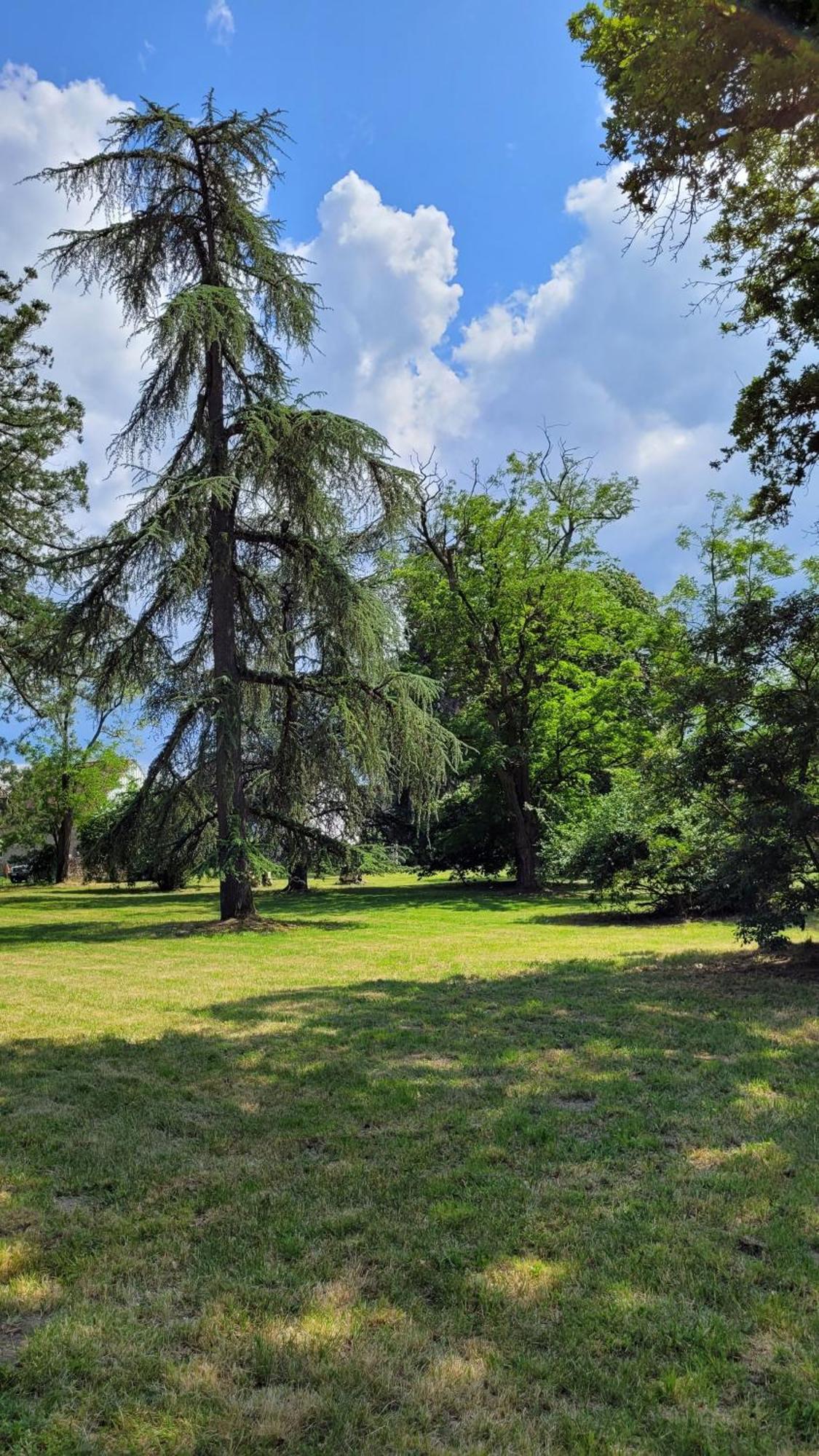 Villa Saint Pierre La Trimouille Екстер'єр фото